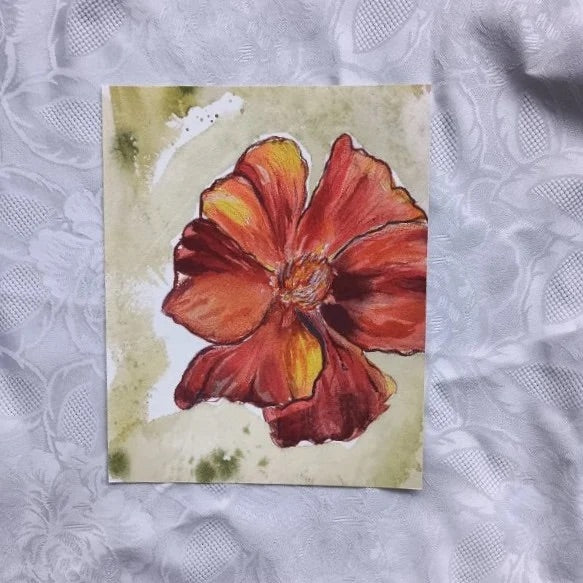 Marigold