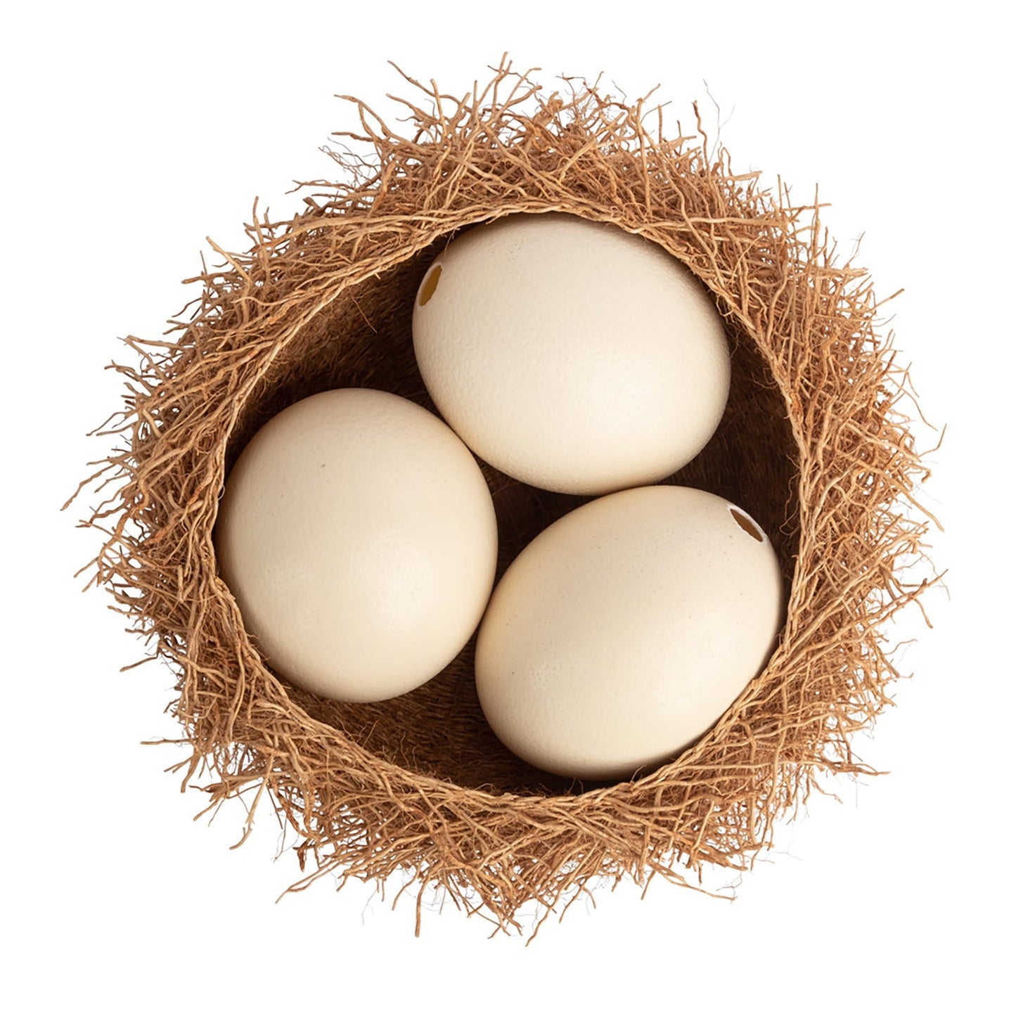 Natural Ostrich Eggs