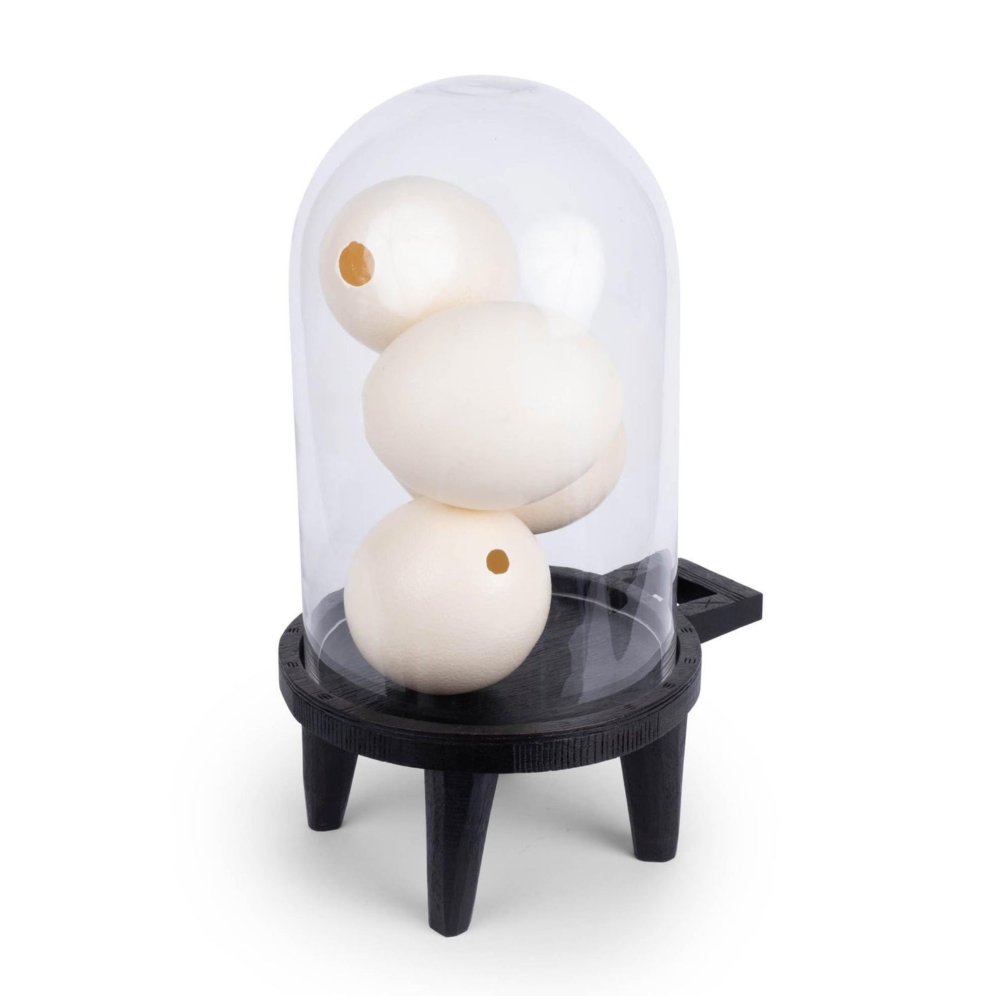 Natural Ostrich Eggs