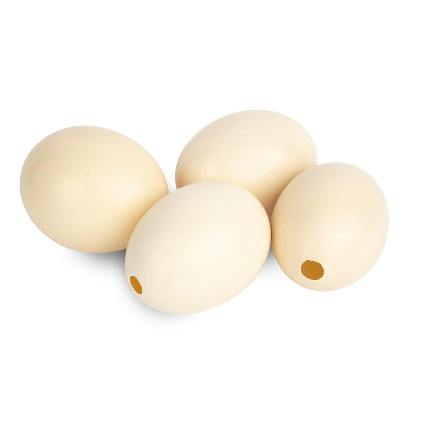 Natural Ostrich Eggs