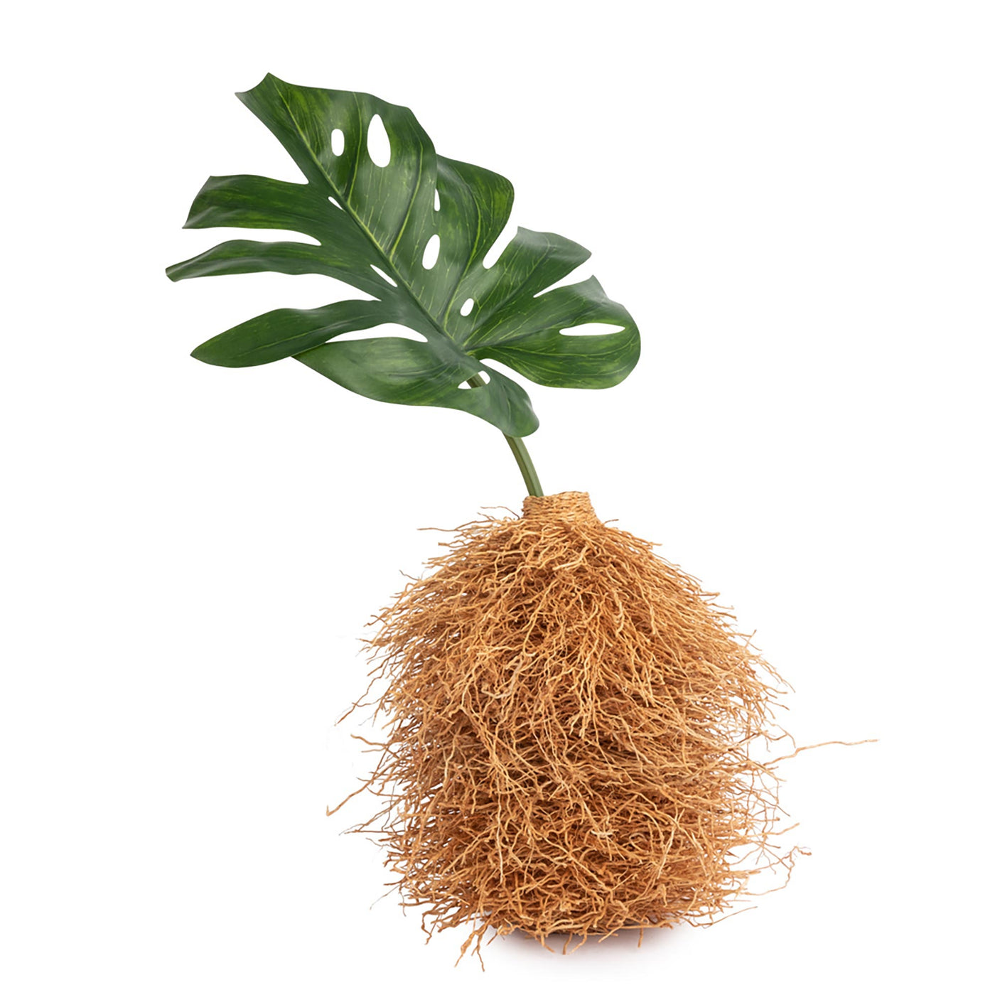 Vetiver Pot Vase