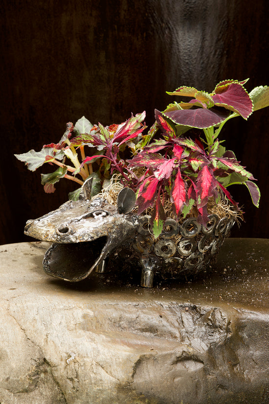 Recycled Metal Sitting Hippo Planter