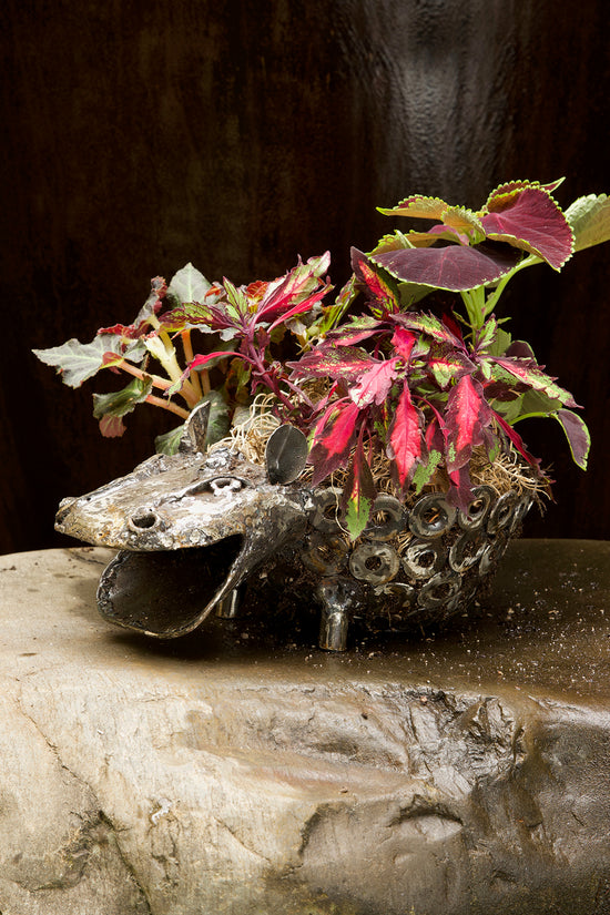hippo planter pot Recycled Metal Sitting Hippo Planter – WyndRose Boutique