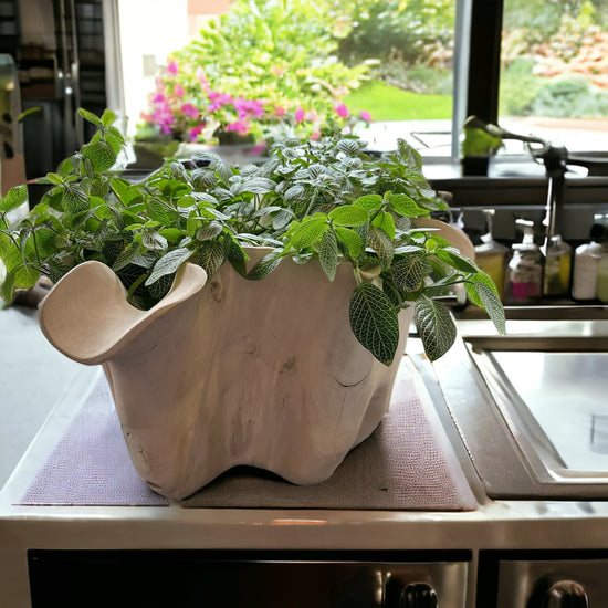 Live Edge Teak Root Vase