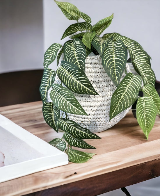 Hand Woven White Raffia Vase/Basket