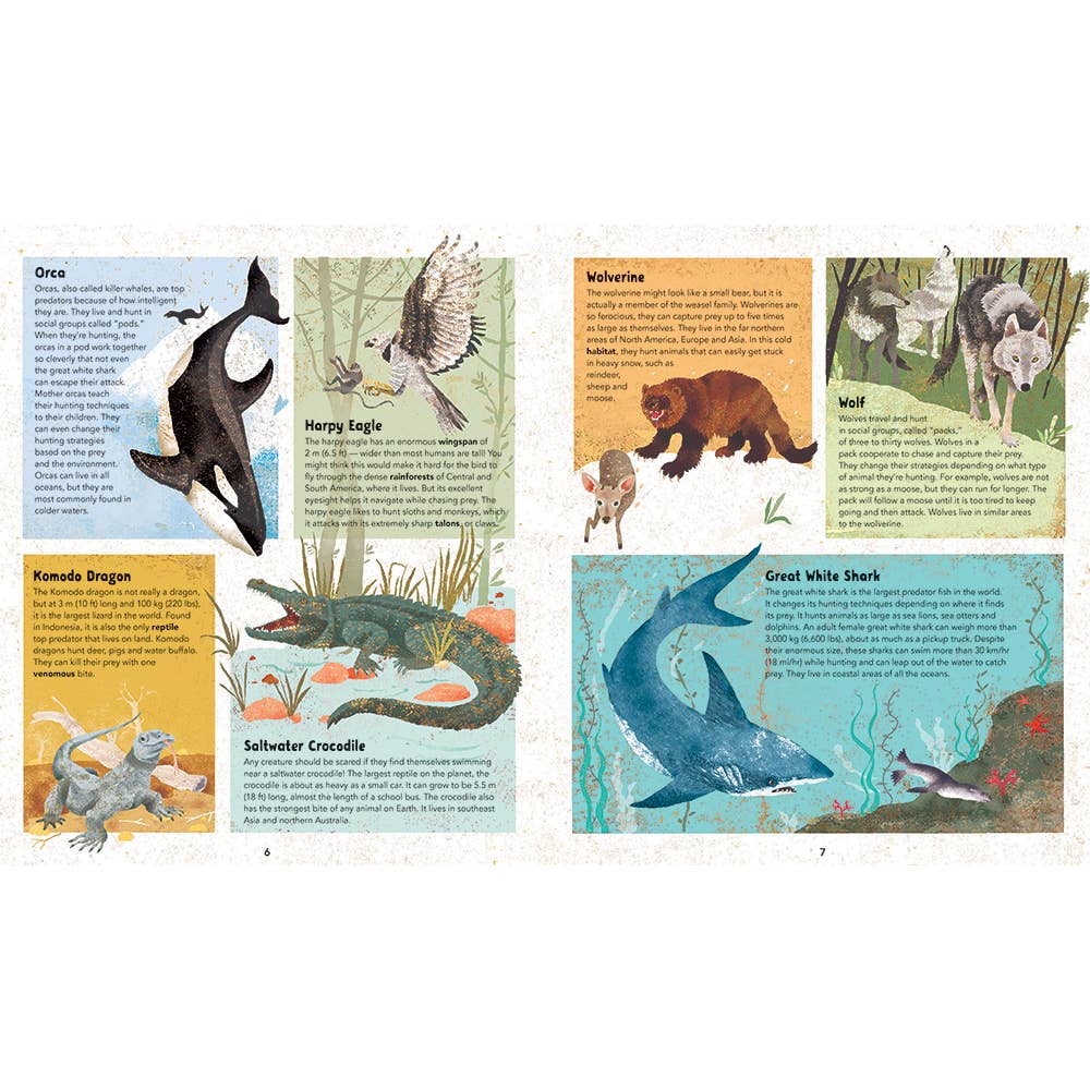 Barefoot Books Incredible Animals - Hardcover