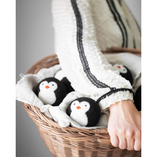 Cool Friends Eco Dryer Balls