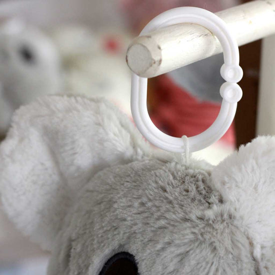 Eco-Friendly Koala