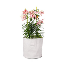 Load image into Gallery viewer, Villyvaso Small White Paper Bag
