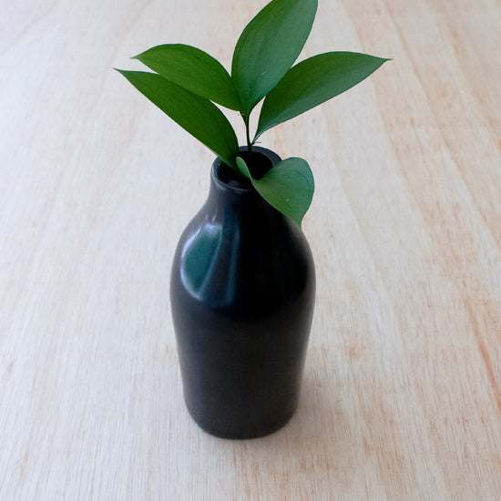 Black Bottle Vases