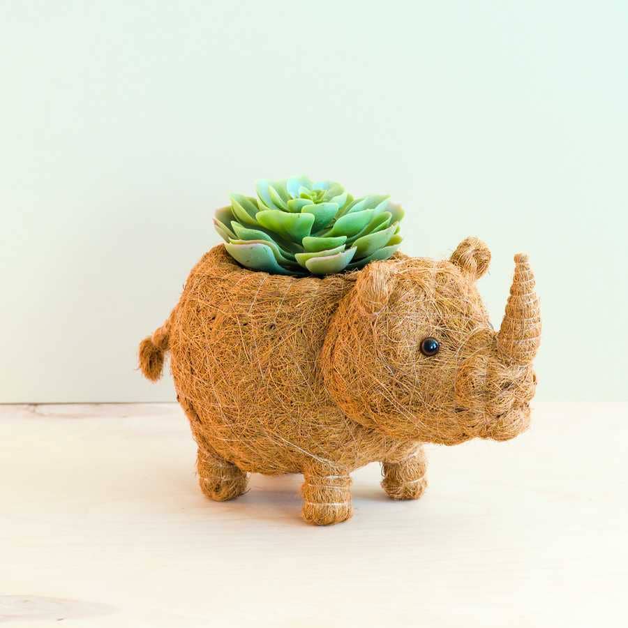 Rhino Planter - Coco Coir Pot