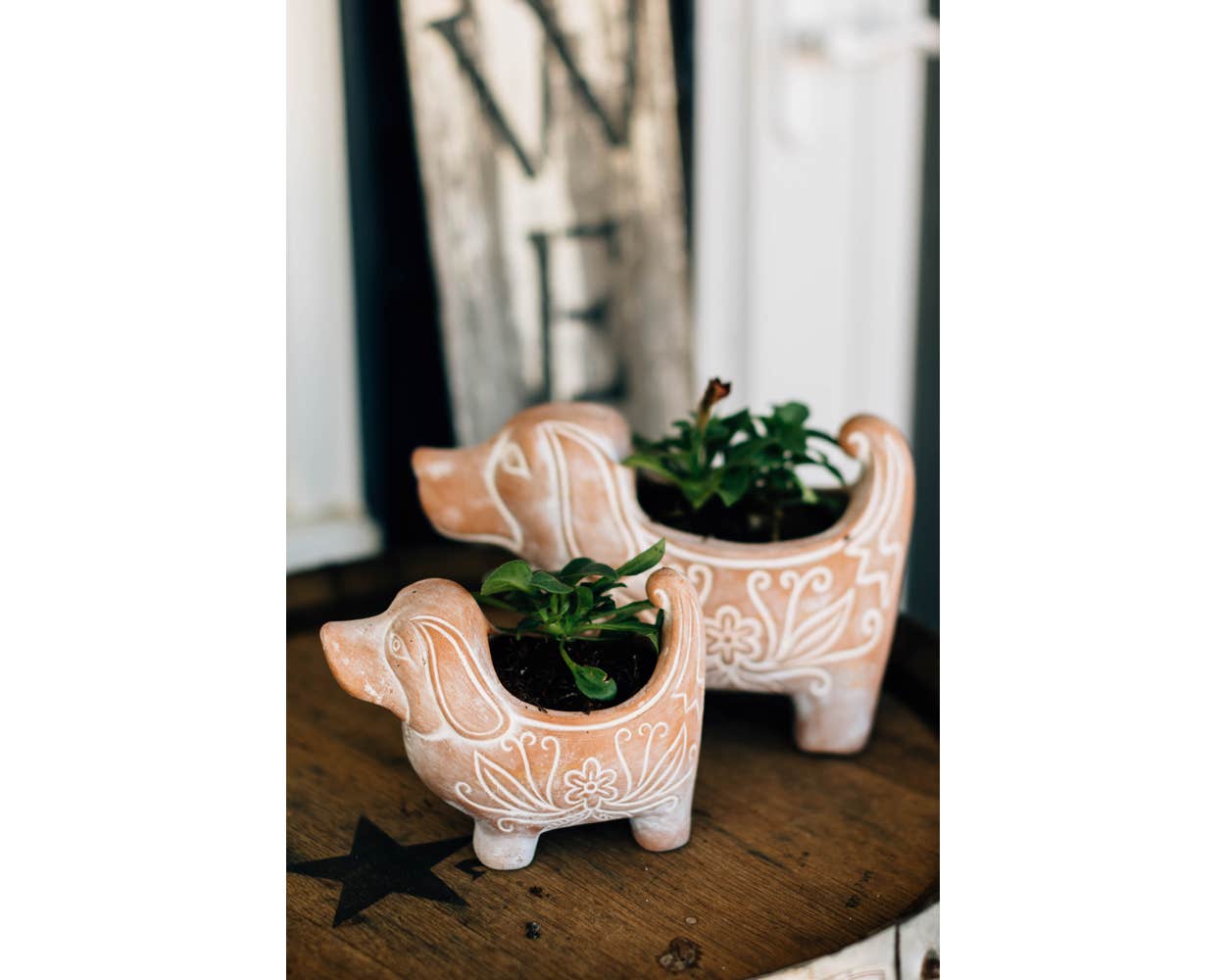 Dog Planter