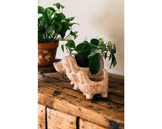 Dog Planter