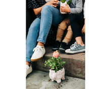 Load image into Gallery viewer, Happy Pig Planter
