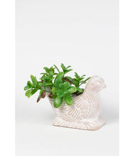 Load image into Gallery viewer, Terracotta Dove Planter
