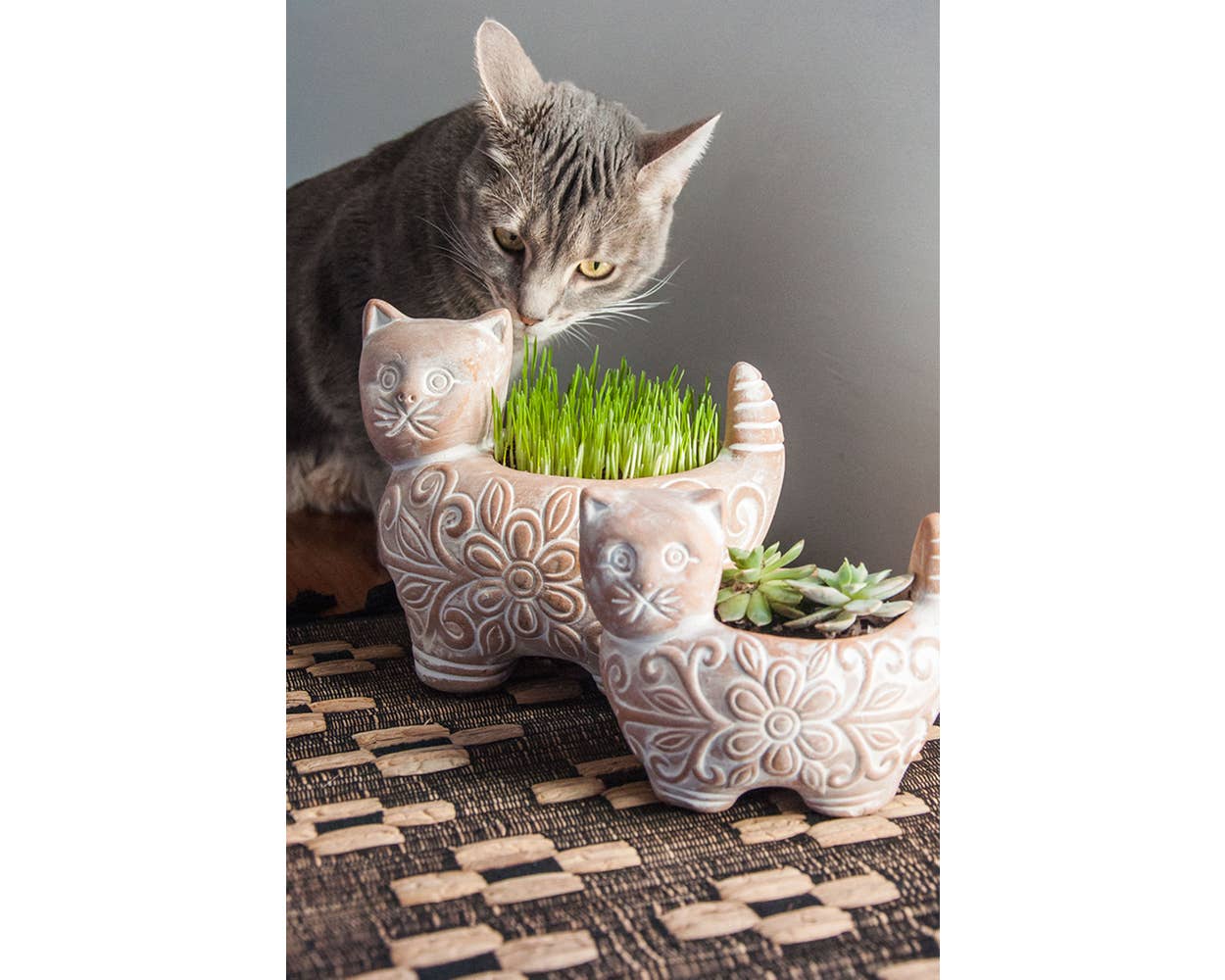 Cat Planter