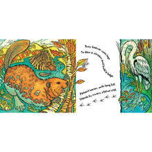 Load image into Gallery viewer, Home for a Tiger, Home for a Bear - Paperback
