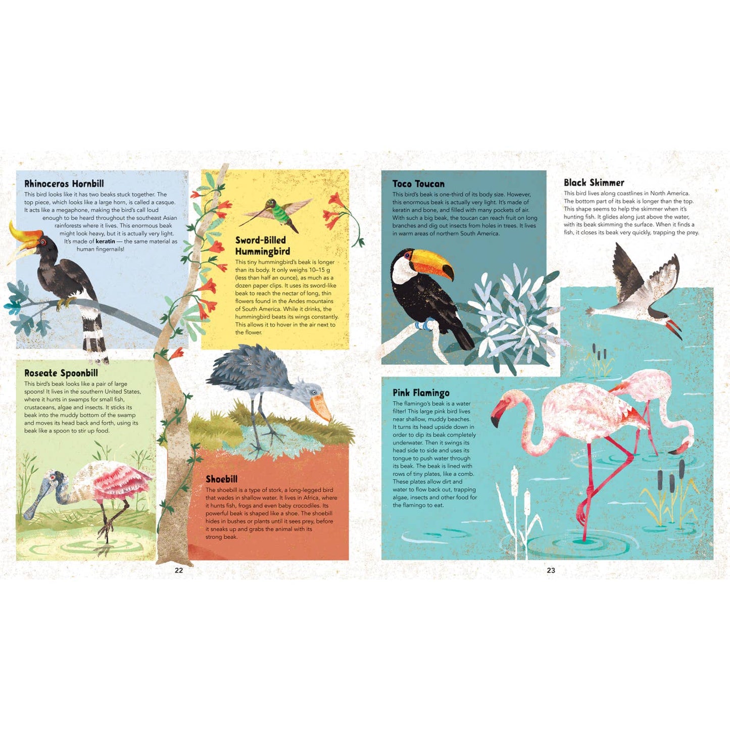 Barefoot Books Incredible Animals - Hardcover