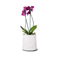 Load image into Gallery viewer, Villyvaso Small White Paper Bag
