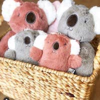 Eco-Friendly Koala