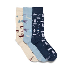 Load image into Gallery viewer, socks that protect the arctic
