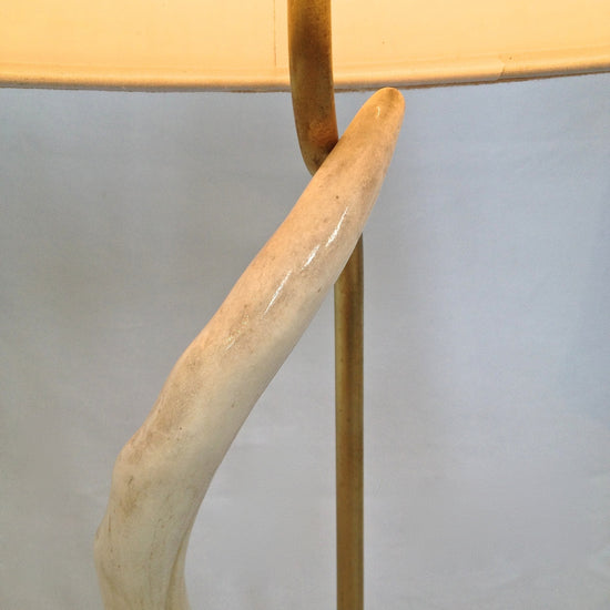 Impala Horn Table Lamp on Acrylic