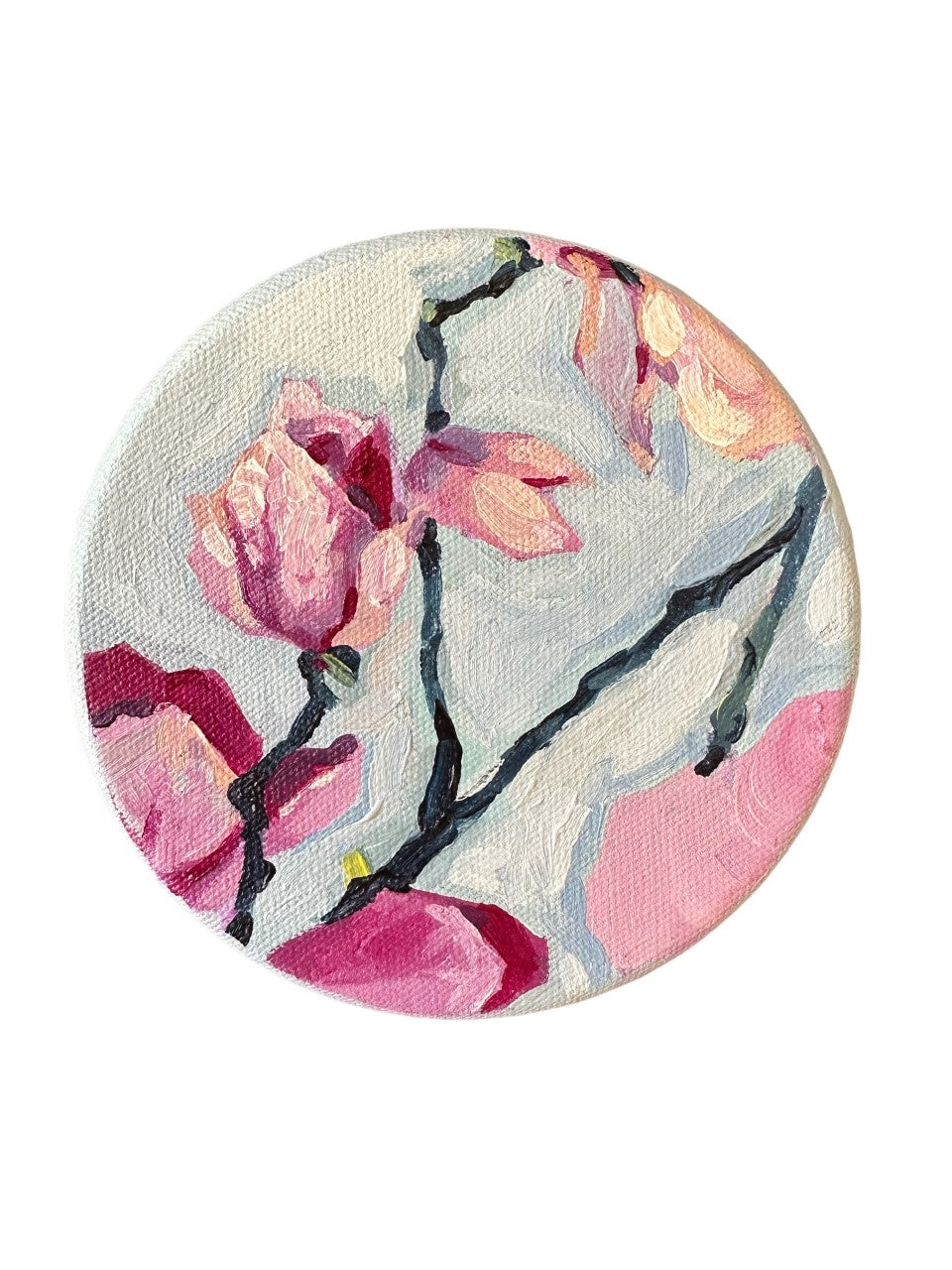 Magnolia Flowers