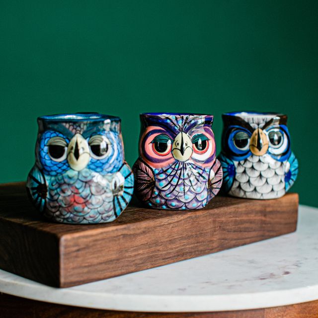 Owl Mugs