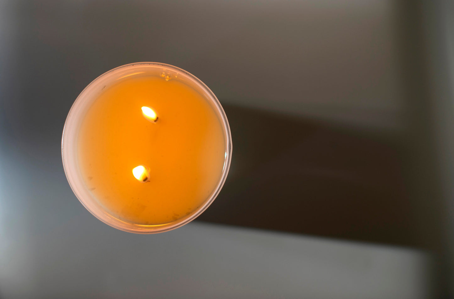 Cypress + Cassis Candle