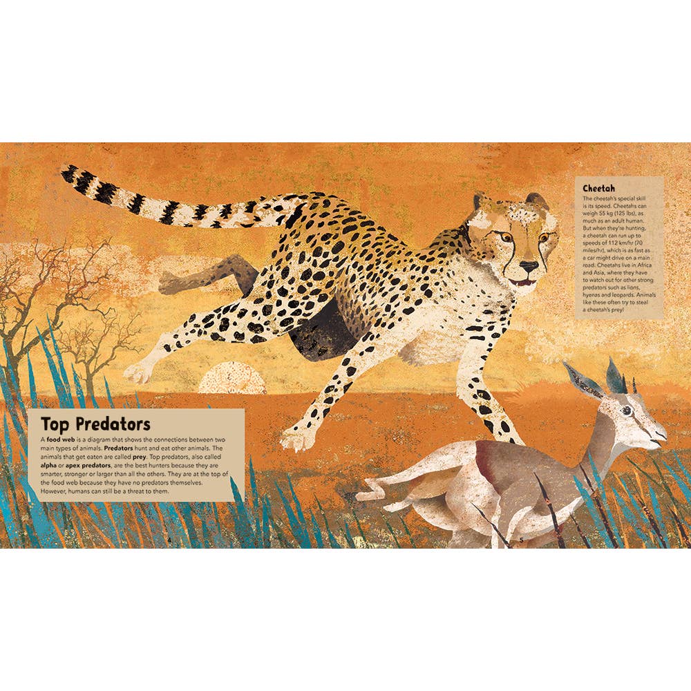 Barefoot Books Incredible Animals - Hardcover