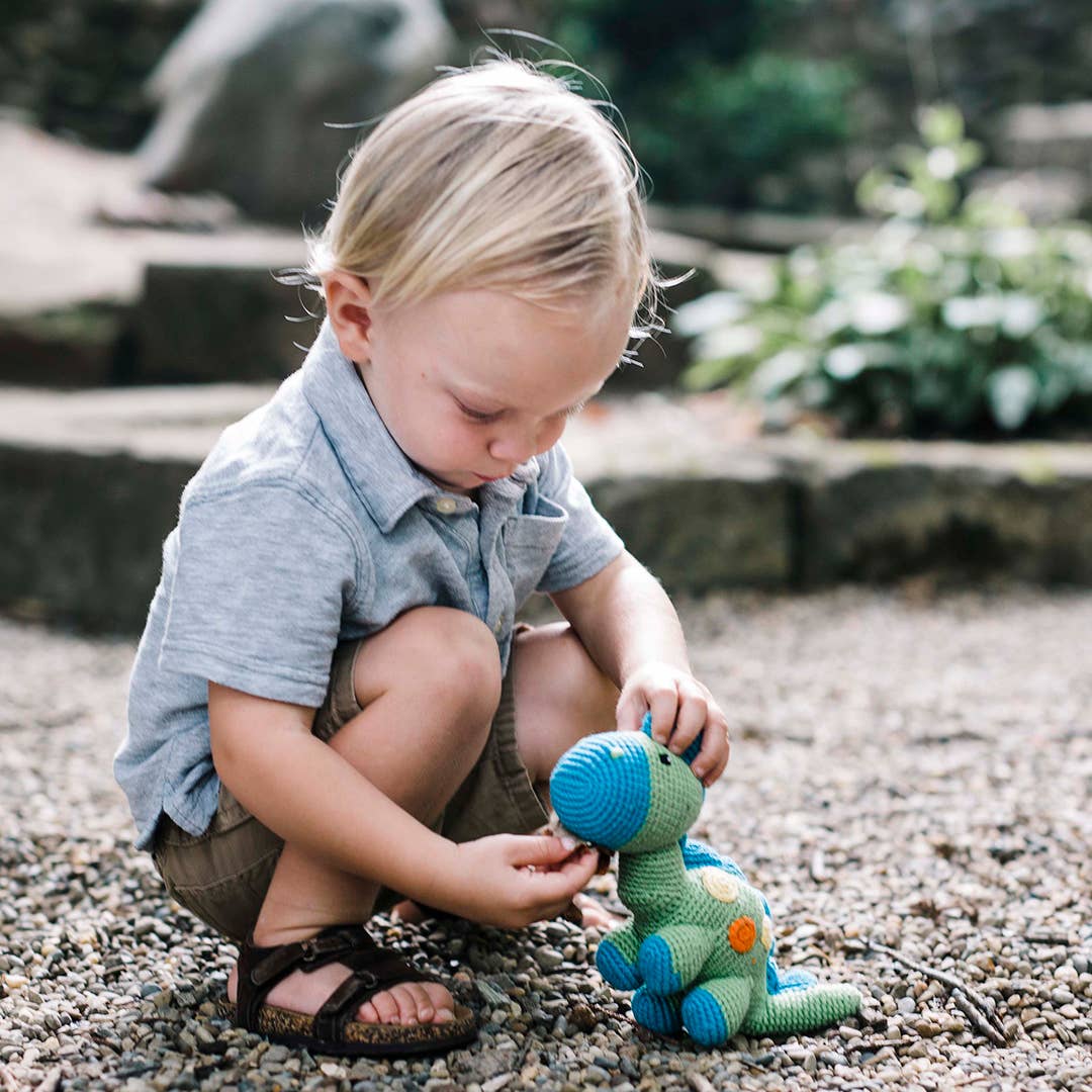 Steggy Dinosaur Rattle