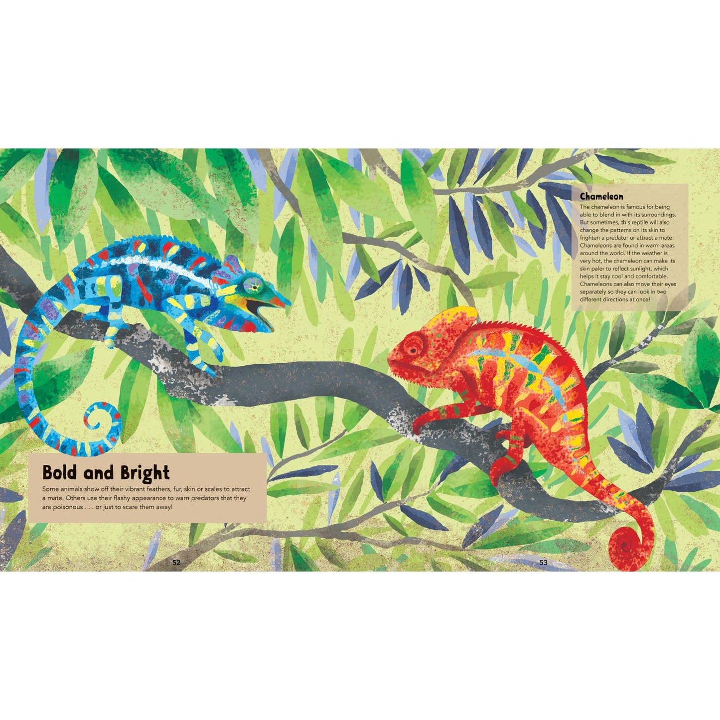Barefoot Books Incredible Animals - Hardcover
