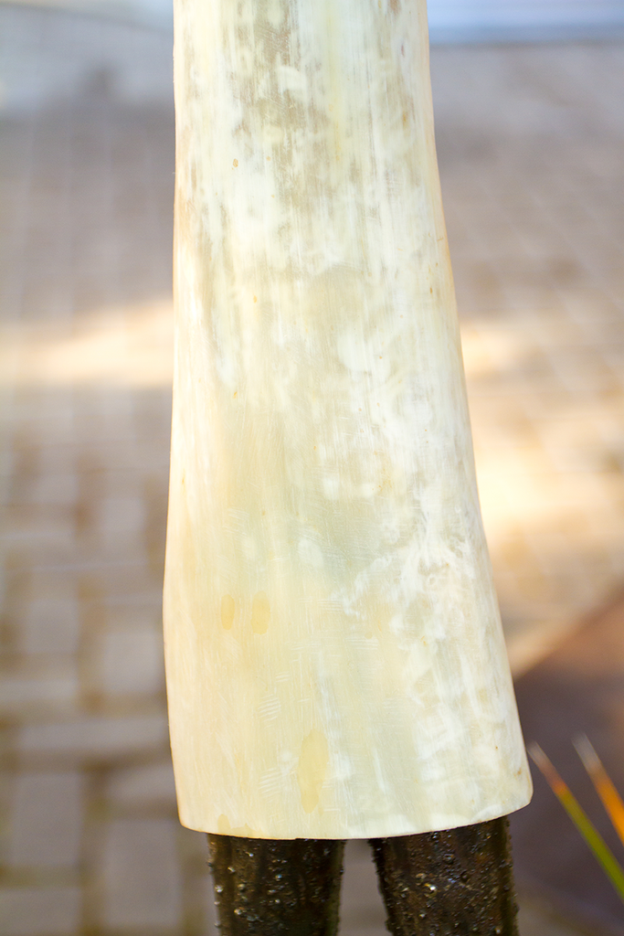 Kenyan Nomad Plant Stands