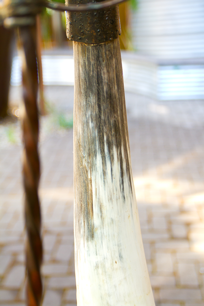 Kenyan Nomad Plant Stands