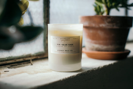 Fir + Blue Sage Candle