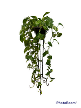 Load image into Gallery viewer, Antique Hand Crafted Twisted Wrought Iron Patio Plant Stand with Pot
