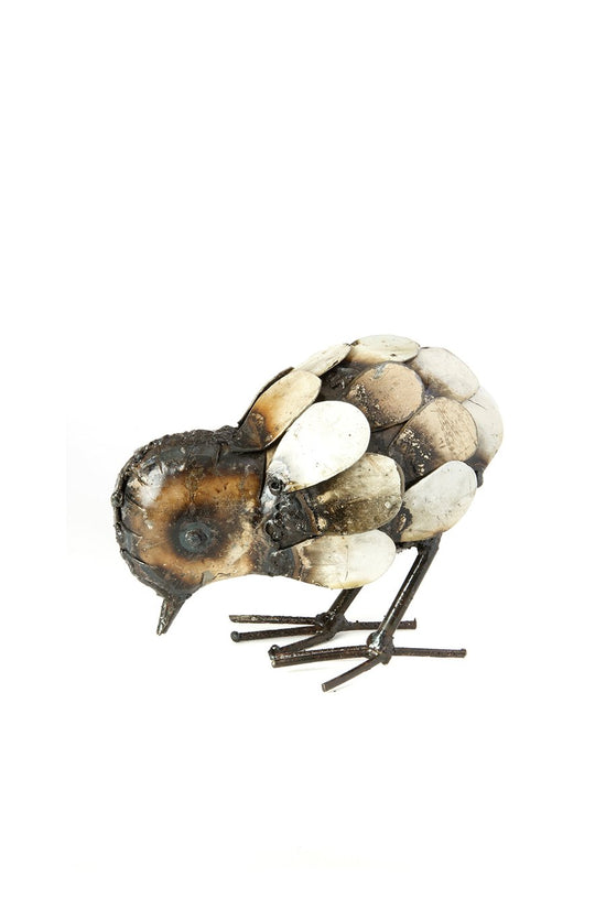 Small White Pecking Chick